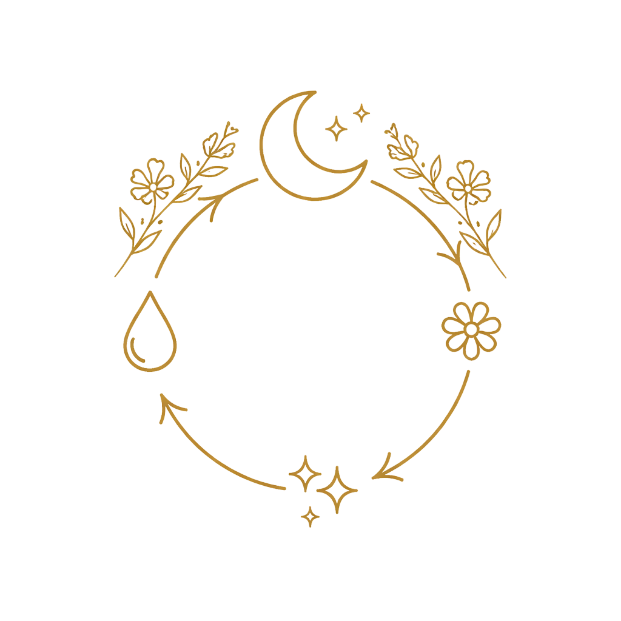 Zyklusphasen verstehen